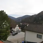 Ferienwohnung/monteurwohnung Meiser 公寓 *