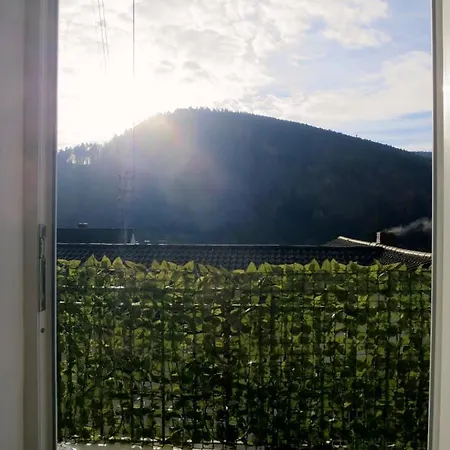 Ferienwohnung/monteurwohnung Meiser Lambrecht (Pfalz)