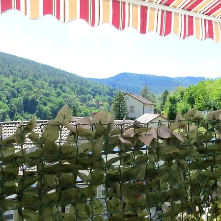 Lägenhet Ferienwohnung/monteurwohnung Meiser Lambrecht (Pfalz)