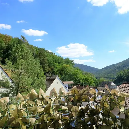 Ferienwohnung/monteurwohnung Meiser Apartment Lambrecht (Pfalz)