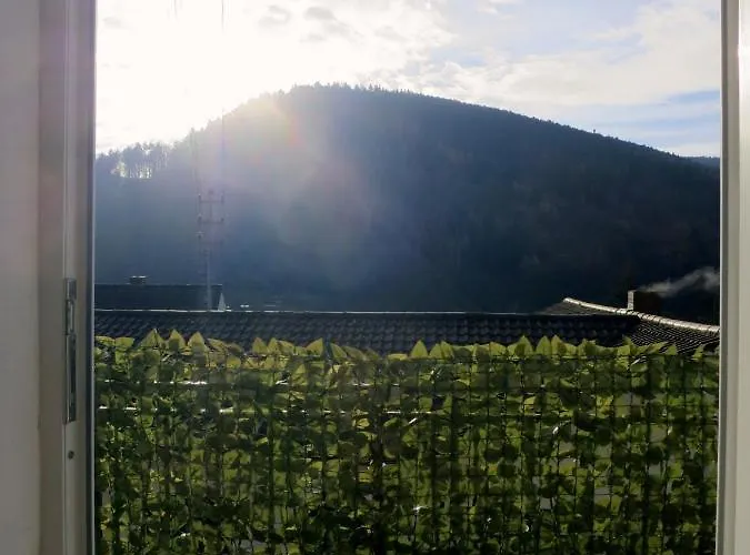 Ferienwohnung/monteurwohnung Meiser Lambrecht (Pfalz)