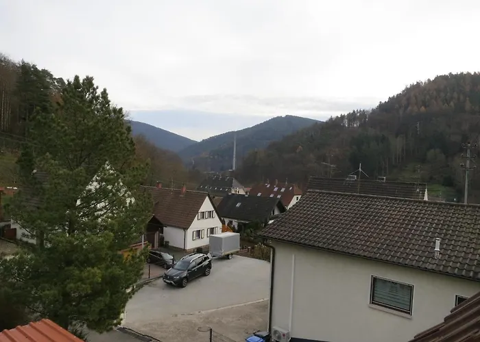 Ferienwohnung/monteurwohnung Meiser Apartamento *