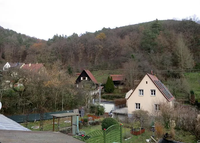 Ferienwohnung/monteurwohnung Meiser * Lambrecht (Pfalz)