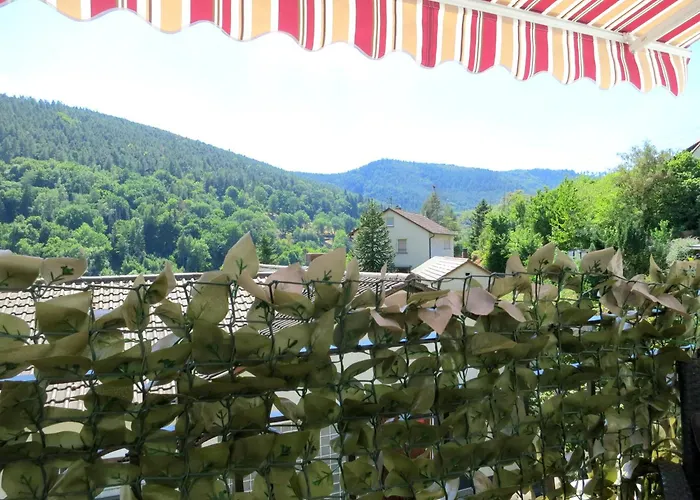 Lägenhet Ferienwohnung/monteurwohnung Meiser Lambrecht (Pfalz)